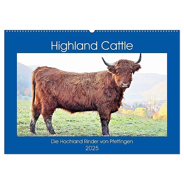 Highland Cattle, die Hochlandrinder aus Pfeffingen (Wandkalender 2025 DIN A2 quer), CALVENDO Monatskalender, Calvendo, Günther Geiger