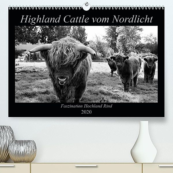 Highland Cattle vom Nordlicht - Faszination Hochland Rind (Premium-Kalender 2020 DIN A2 quer), Katharina Knab