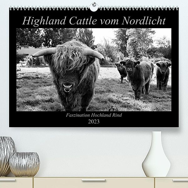 Highland Cattle vom Nordlicht - Faszination Hochland Rind (Premium, hochwertiger DIN A2 Wandkalender 2023, Kunstdruck in, Katharina Knab