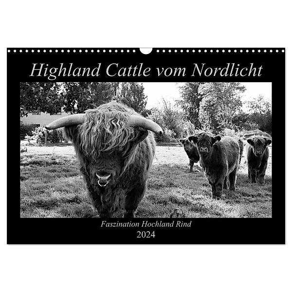 Highland Cattle vom Nordlicht - Faszination Hochland Rind (Wandkalender 2024 DIN A3 quer), CALVENDO Monatskalender, Katharina Knab