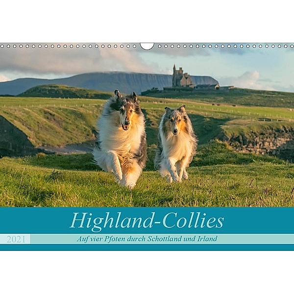 Highland-Collies - Auf vier Pfoten durch Schottland und Irland (Wandkalender 2021 DIN A3 quer), Julia Elling