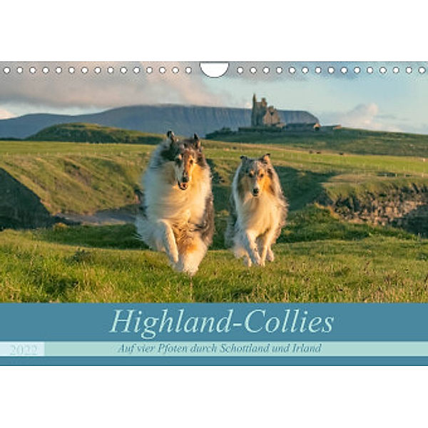 Highland-Collies - Auf vier Pfoten durch Schottland und Irland (Wandkalender 2022 DIN A4 quer), Julia Elling