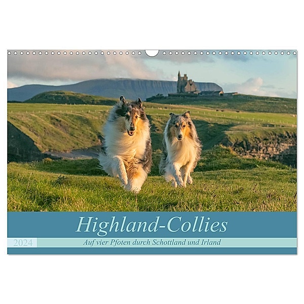 Highland-Collies - Auf vier Pfoten durch Schottland und Irland (Wandkalender 2024 DIN A3 quer), CALVENDO Monatskalender, Julia Elling