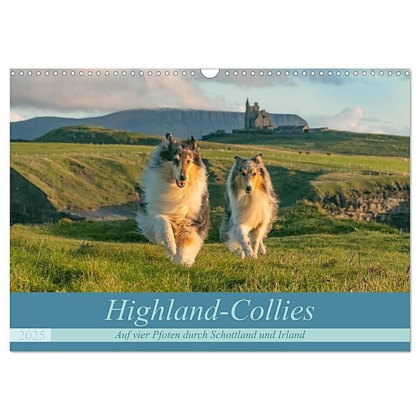 Highland-Collies - Auf vier Pfoten durch Schottland und Irland (Wandkalender 2025 DIN A3 quer), CALVENDO Monatskalender, Calvendo, Julia Elling