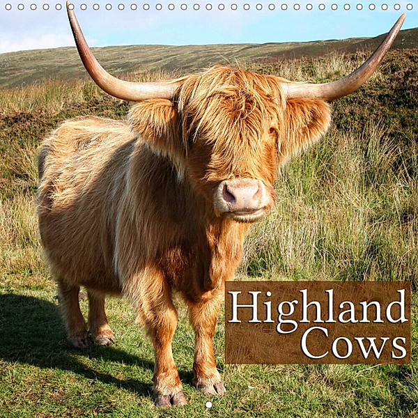Highland Cows (Wall Calendar 2023 300 × 300 mm Square), Martina Cross