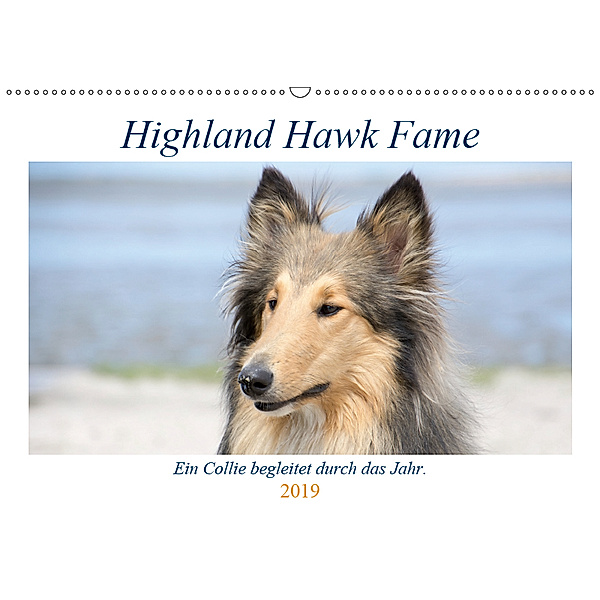 Highland Hawk Fame - Ein Collie begleitet durch das Jahr (Wandkalender 2019 DIN A2 quer), Andreas Zimmermann