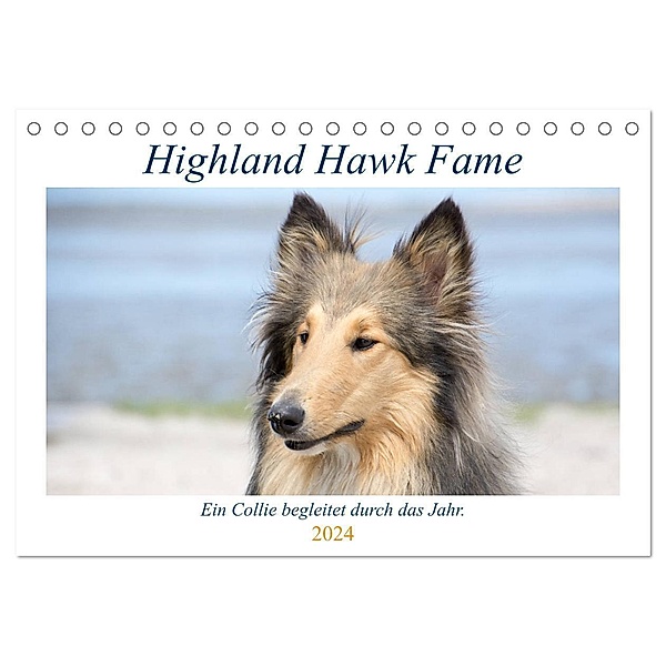 Highland Hawk Fame - Ein Collie begleitet durch das Jahr (Tischkalender 2024 DIN A5 quer), CALVENDO Monatskalender, Andreas Zimmermann