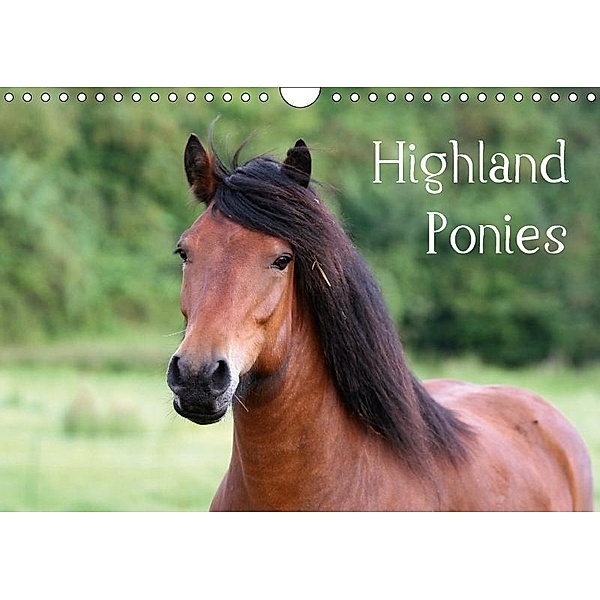 Highland Ponies (Wandkalender 2017 DIN A4 quer), Nikola Fersing