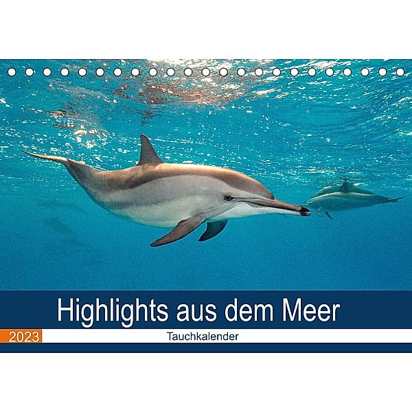 Highlights aus dem Meer - Tauchkalender (Tischkalender 2023 DIN A5 quer), Sven Gruse