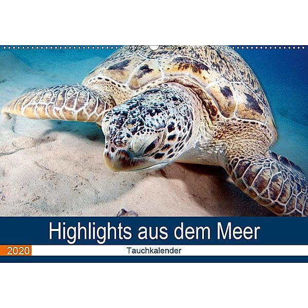 Highlights aus dem Meer - Tauchkalender (Wandkalender 2020 DIN A2 quer), Sven Gruse