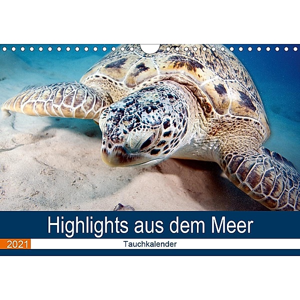 Highlights aus dem Meer - Tauchkalender (Wandkalender 2021 DIN A4 quer), Sven Gruse