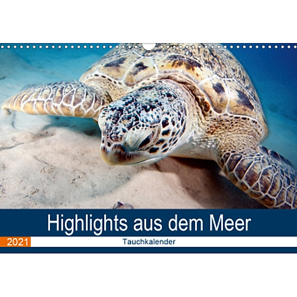 Highlights aus dem Meer - Tauchkalender (Wandkalender 2021 DIN A3 quer), Sven Gruse