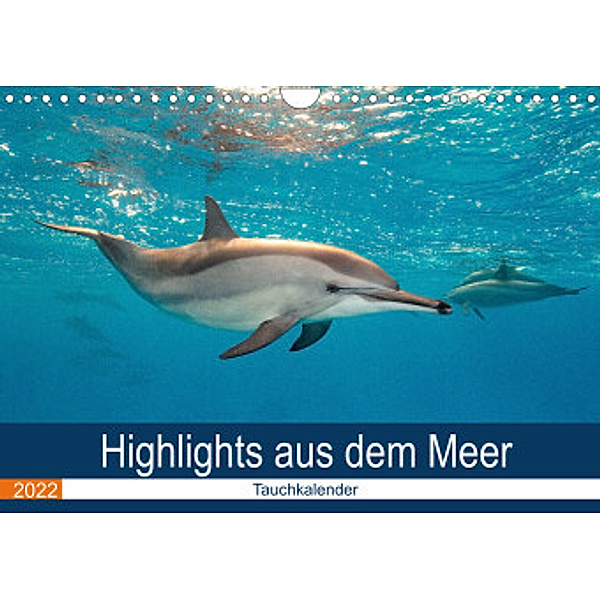 Highlights aus dem Meer - Tauchkalender (Wandkalender 2022 DIN A4 quer), Sven Gruse