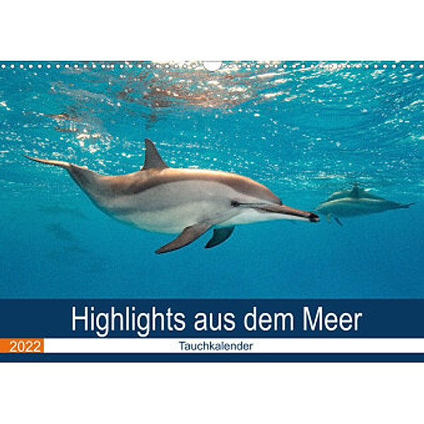 Highlights aus dem Meer - Tauchkalender (Wandkalender 2022 DIN A3 quer), Sven Gruse