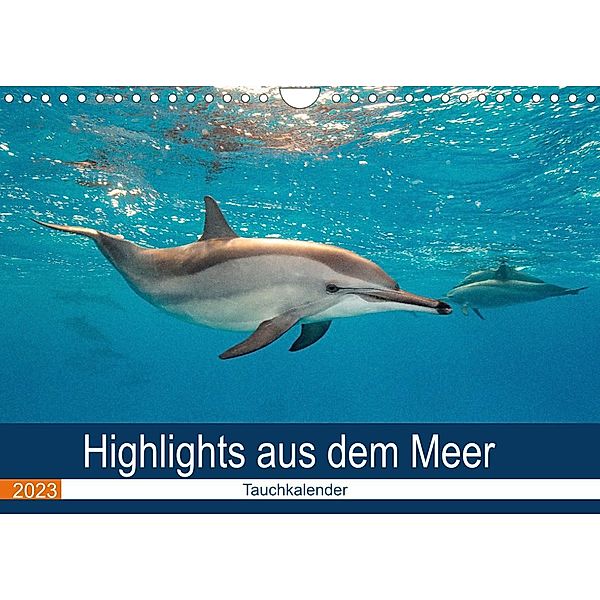 Highlights aus dem Meer - Tauchkalender (Wandkalender 2023 DIN A4 quer), Sven Gruse