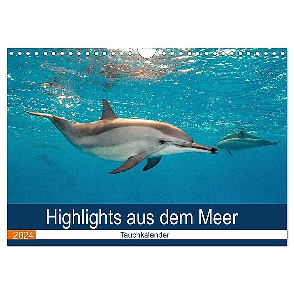 Highlights aus dem Meer - Tauchkalender (Wandkalender 2024 DIN A4 quer), CALVENDO Monatskalender, Sven Gruse