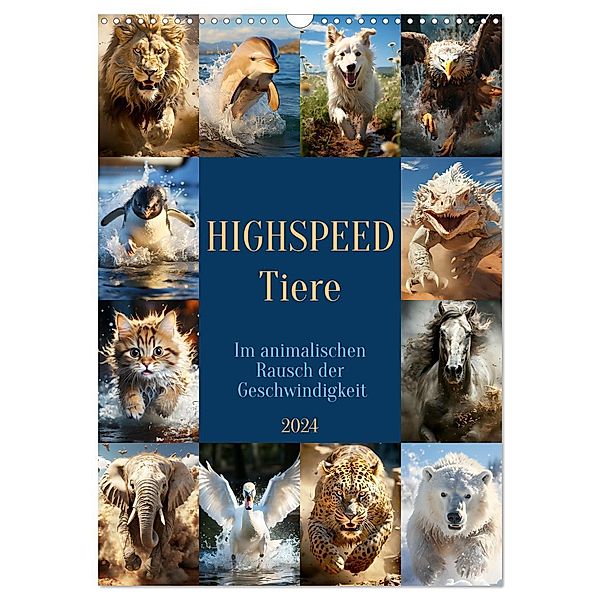 Highspeed Tiere (Wandkalender 2024 DIN A3 hoch), CALVENDO Monatskalender, Cathrin Illgen