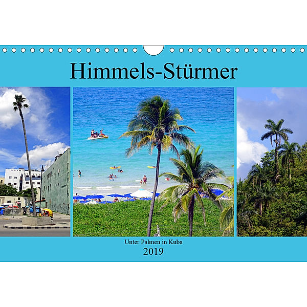 Himmels-Stürmer - Unter Palmen in Kuba (Wandkalender 2019 DIN A4 quer), Henning von Löwis of Menar