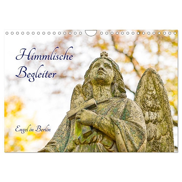 Himmlische Begleiter (Wandkalender 2025 DIN A4 quer), CALVENDO Monatskalender, Calvendo, Carola Vahldiek