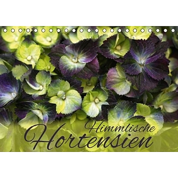 Himmlische Hortensien (Tischkalender 2015 DIN A5 quer), Martina Cross