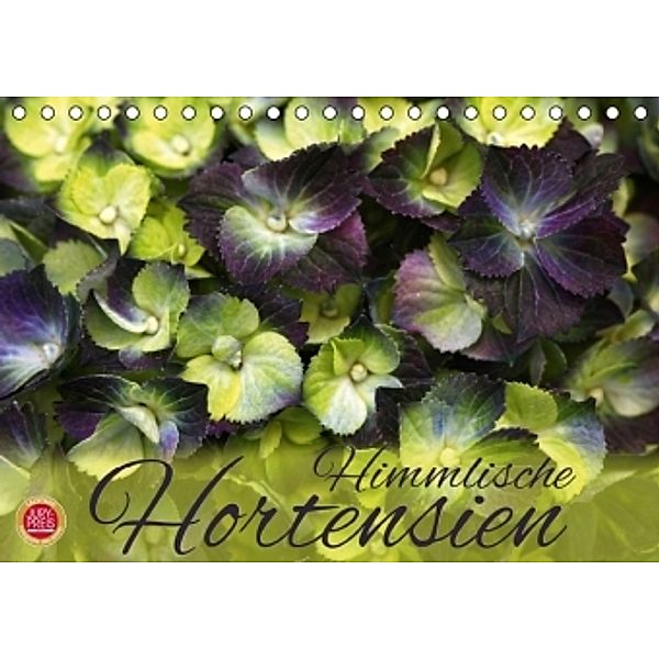 Himmlische Hortensien (Tischkalender 2016 DIN A5 quer), Martina Cross