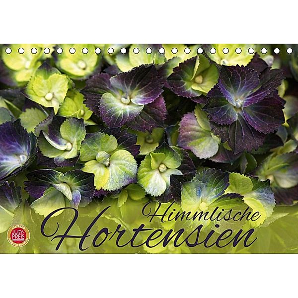 Himmlische Hortensien (Tischkalender 2021 DIN A5 quer), Martina Cross