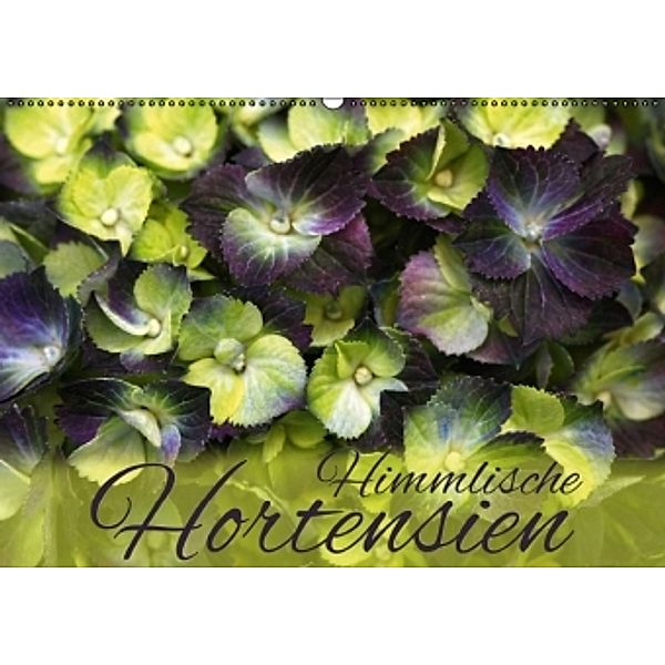 Himmlische Hortensien (Wandkalender 2015 DIN A2 quer), Martina Cross