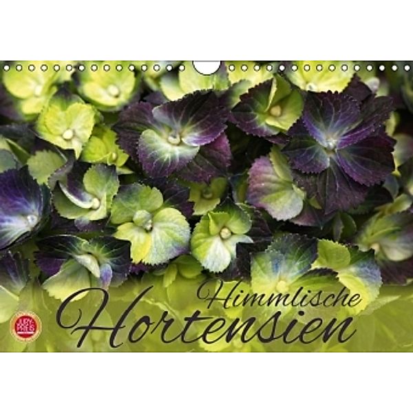 Himmlische Hortensien (Wandkalender 2016 DIN A4 quer), Martina Cross