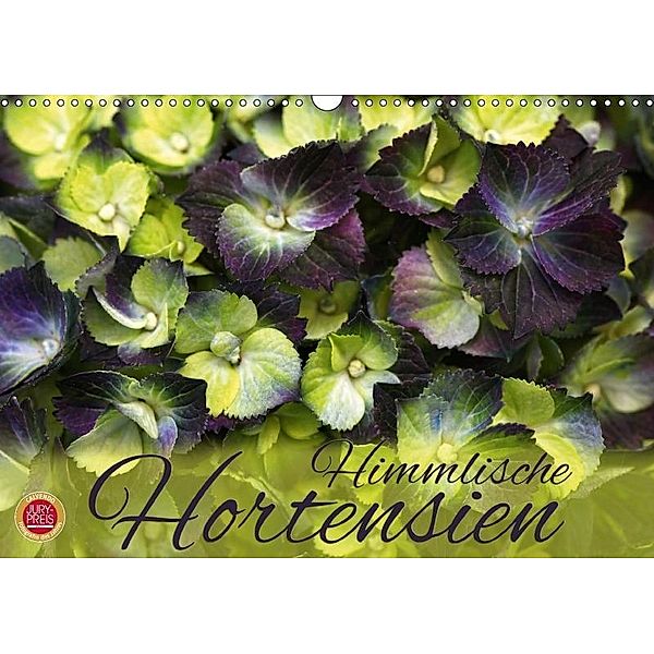Himmlische Hortensien (Wandkalender 2017 DIN A3 quer), Martina Cross