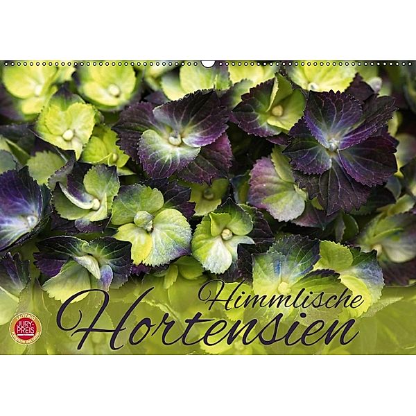 Himmlische Hortensien (Wandkalender 2018 DIN A2 quer), Martina Cross