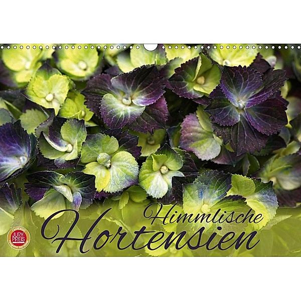 Himmlische Hortensien (Wandkalender 2021 DIN A3 quer), Martina Cross