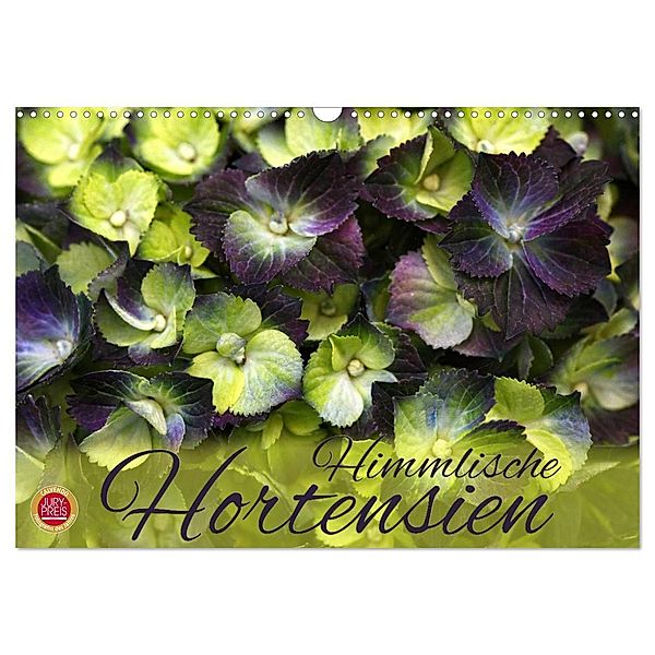 Himmlische Hortensien (Wandkalender 2024 DIN A3 quer), CALVENDO Monatskalender, Martina Cross