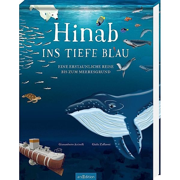 Hinab ins tiefe Blau, Gianumberto Accinelli