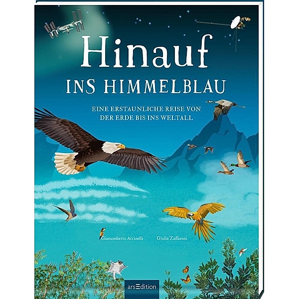 Hinauf ins Himmelblau, Gianumberto Accinelli