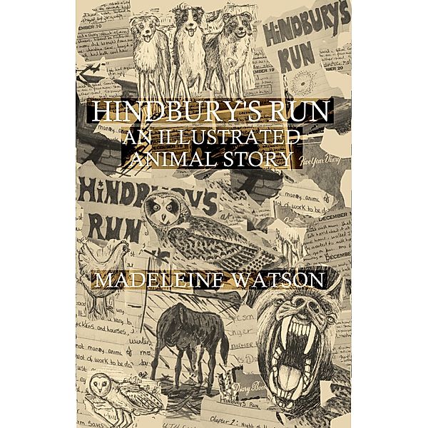 Hindbury’s Run: An Illustrated Animal Story, Madeleine Watson