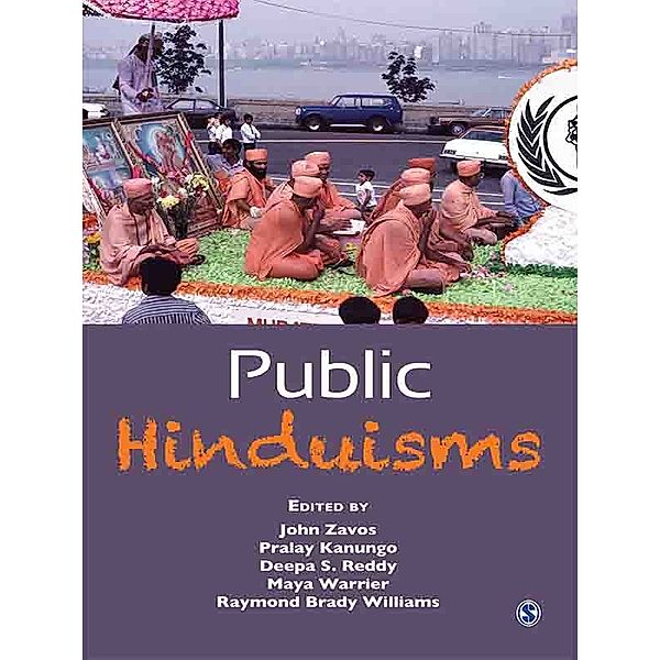 Hinduism in India: Public Hinduisms
