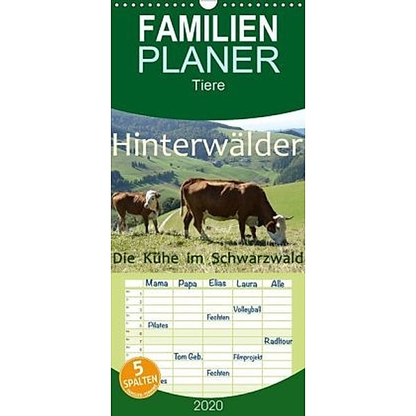 Hinterwälder - Die Kühe aus dem Schwarzwald - Familienplaner hoch (Wandkalender 2020 , 21 cm x 45 cm, hoch), Stefanie Goldscheider