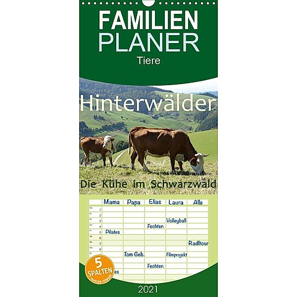 Hinterwälder - Die Kühe aus dem Schwarzwald - Familienplaner hoch (Wandkalender 2021 , 21 cm x 45 cm, hoch), Stefanie Goldscheider