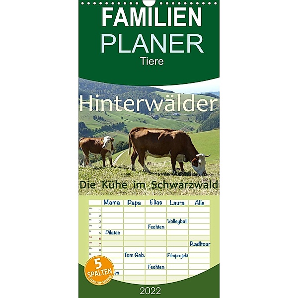 Hinterwälder - Die Kühe aus dem Schwarzwald - Familienplaner hoch (Wandkalender 2022 , 21 cm x 45 cm, hoch), Stefanie Goldscheider