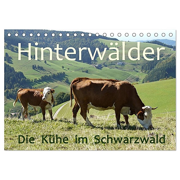 Hinterwälder - Die Kühe aus dem Schwarzwald (Tischkalender 2024 DIN A5 quer), CALVENDO Monatskalender, Stefanie Goldscheider