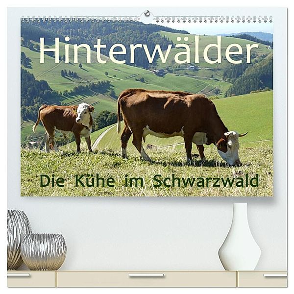 Hinterwälder - Die Kühe aus dem Schwarzwald (hochwertiger Premium Wandkalender 2024 DIN A2 quer), Kunstdruck in Hochglanz, Stefanie Goldscheider