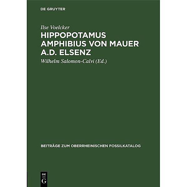 Hippopotamus amphibius von Mauer a.d. Elsenz, Ilse Voelcker