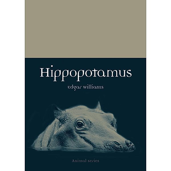 Hippopotamus / Animal, Williams Edgar Williams
