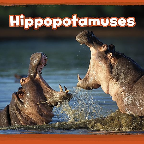 Hippopotamuses / Raintree Publishers, Kathryn Clay