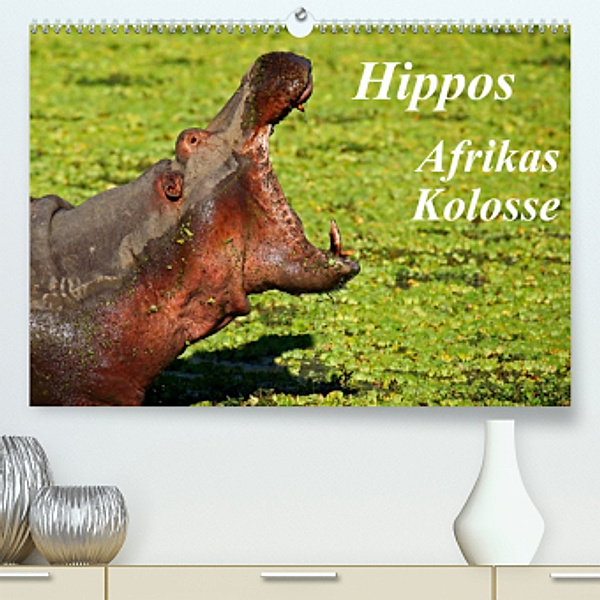 Hippos - Afrikas Kolosse (Premium, hochwertiger DIN A2 Wandkalender 2022, Kunstdruck in Hochglanz), Wibke Woyke