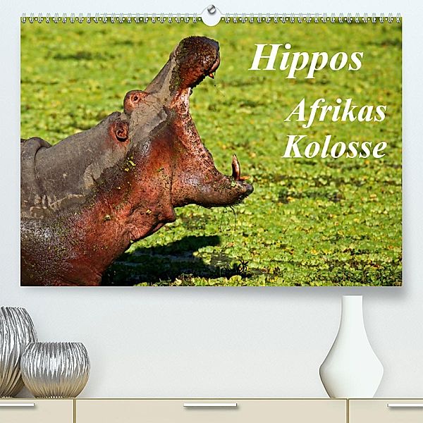 Hippos - Afrikas Kolosse (Premium-Kalender 2020 DIN A2 quer), Wibke Woyke