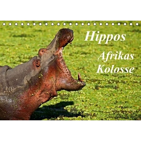 Hippos - Afrikas Kolosse (Tischkalender 2015 DIN A5 quer), Wibke Woyke