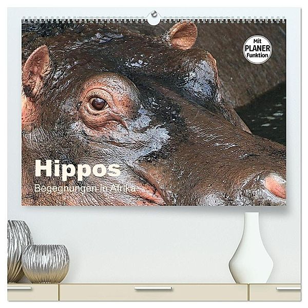Hippos - Begegnungen in Afrika (hochwertiger Premium Wandkalender 2024 DIN A2 quer), Kunstdruck in Hochglanz, Michael Herzog