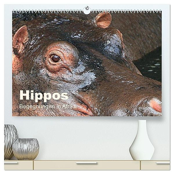 Hippos - Begegnungen in Afrika (hochwertiger Premium Wandkalender 2025 DIN A2 quer), Kunstdruck in Hochglanz, Calvendo, Michael Herzog