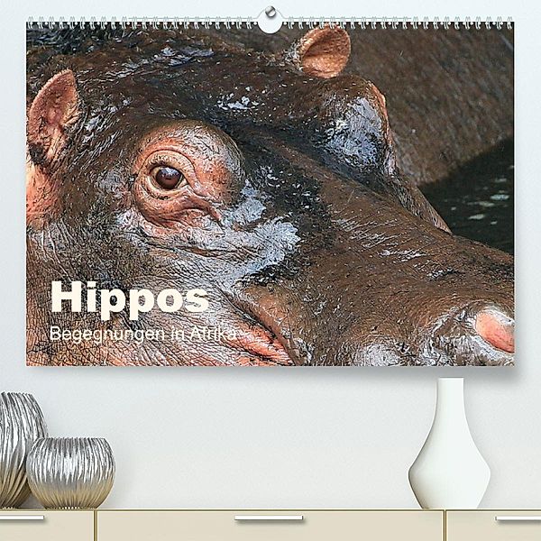 Hippos - Begegnungen in Afrika (Premium, hochwertiger DIN A2 Wandkalender 2023, Kunstdruck in Hochglanz), Michael Herzog